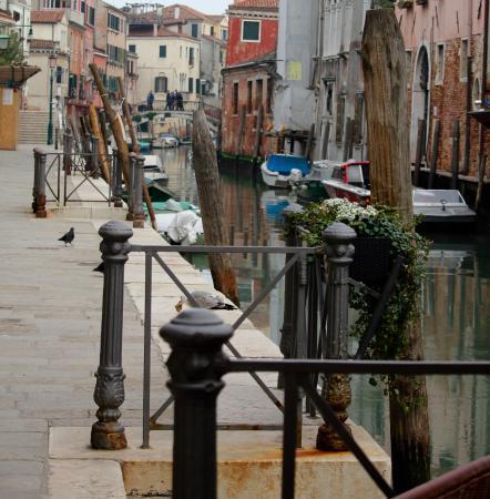 Apartamento Casa Di Primavera Veneza